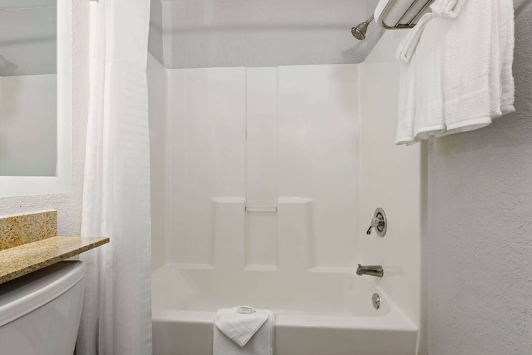 Bathroom 5, Microtel Inn & Suites by Wyndham Zephyrhills, Pasco