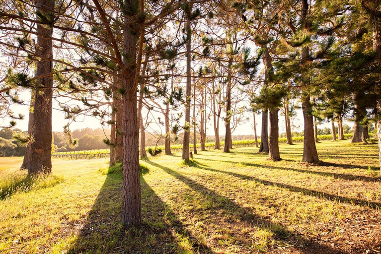 Others 5, Ruse Estate Retreat Margaret River, Augusta-Margaret River