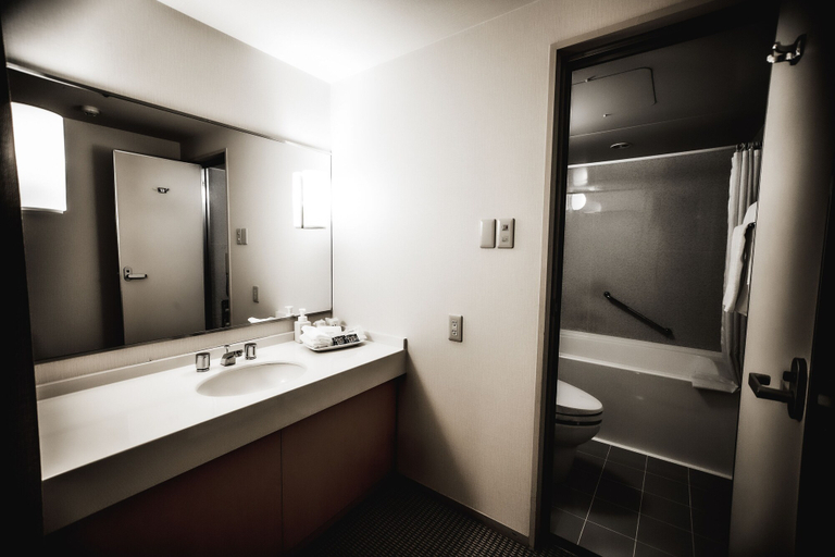Bathroom, Oarks canal park hotel Toyama, Toyama