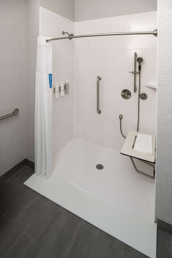 Bathroom 4, Hampton Inn & Suites Huntington Downtown, Suffolk