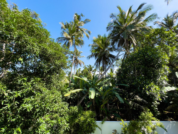 Others 5, Villa Ema, Hikkaduwa