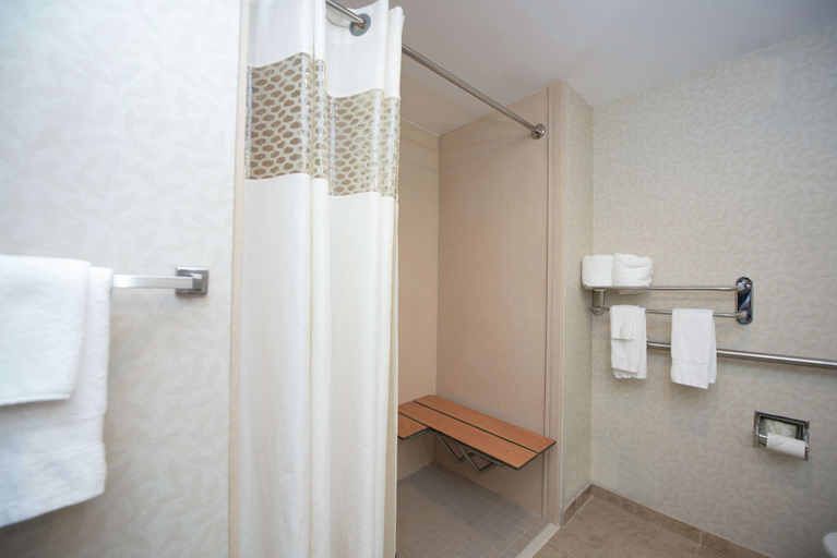 Bathroom 4, Hampton Inn Yazoo City, Yazoo