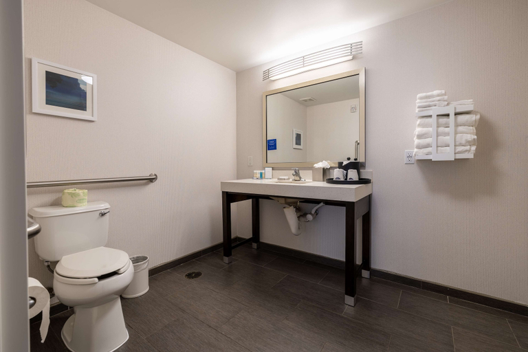 Bathroom 3, Hampton Inn & Suites Greensboro/Coliseum Area, Guilford
