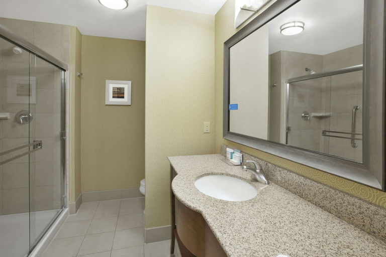 Bathroom 4, Hampton Inn & Suites Wichita Northeast, Sedgwick