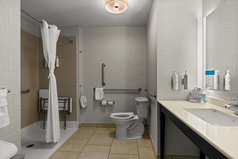 Bathroom 4, Hampton Inn & Suites Schererville, Lake