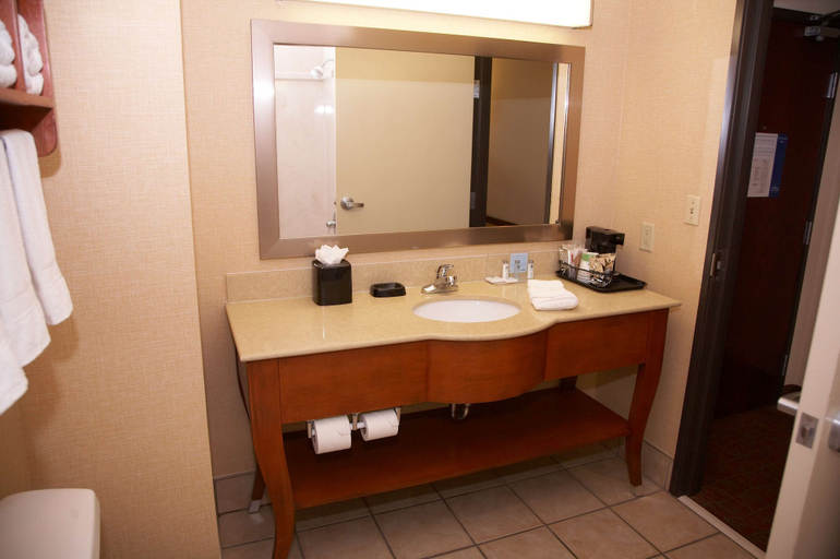 Bathroom 4, Hampton Inn and Suites Hobbs, Lea