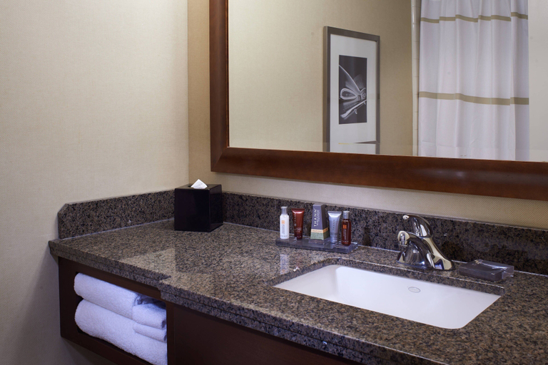 Bathroom 4, Detroit Marriott at the Renaissance Center, Lake St. Clair