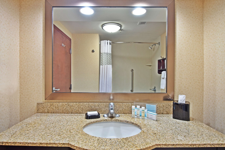Bathroom 4, Hampton Inn Huntington/Barboursville, Cabell
