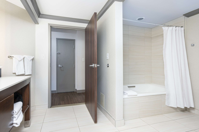 Bathroom 4, Embassy Suites by Hilton Indianapolis Downtown, Indianapolis