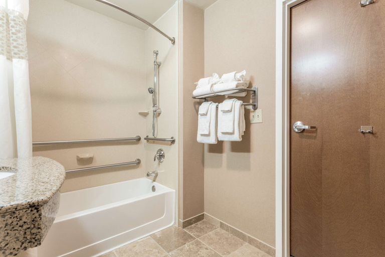 Bathroom 4, Hampton Inn Auburn, De Kalb