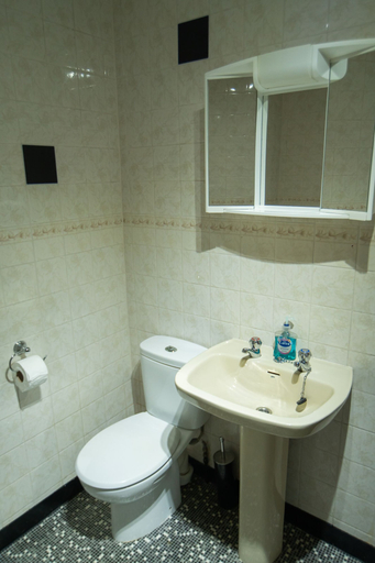 Bathroom 3, The Spread Eagle, Trafford
