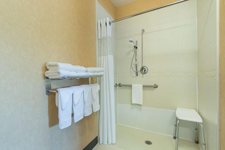 Bathroom 5, Hampton Inn & Suites Indianapolis/Brownsburg, Hendricks
