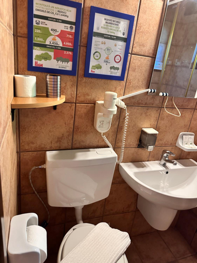 Bathroom, Pensiunea Cornelia, Predeal