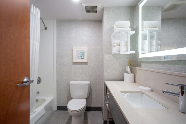 Bathroom 4, Hampton Inn Elkins, Randolph