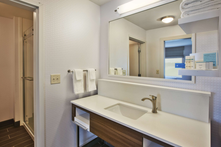 Bathroom 4, Hampton Inn & Suites Southwest/Sioux Falls, Lincoln
