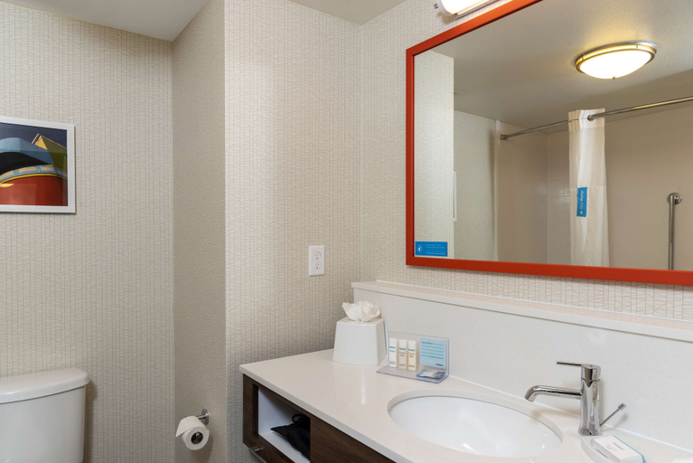 Bathroom 4, Hampton Inn & Suites Fort Myers - Colonial Blvd, Lee