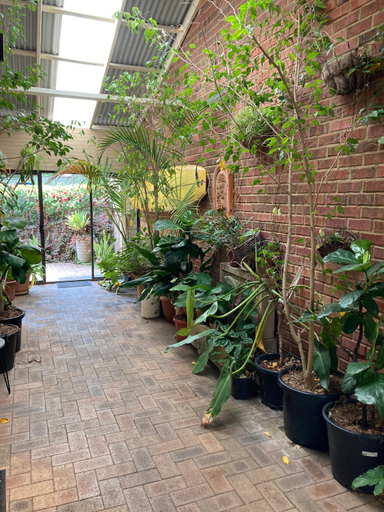 Public Area 3, Edge of the Forest, Augusta-Margaret River