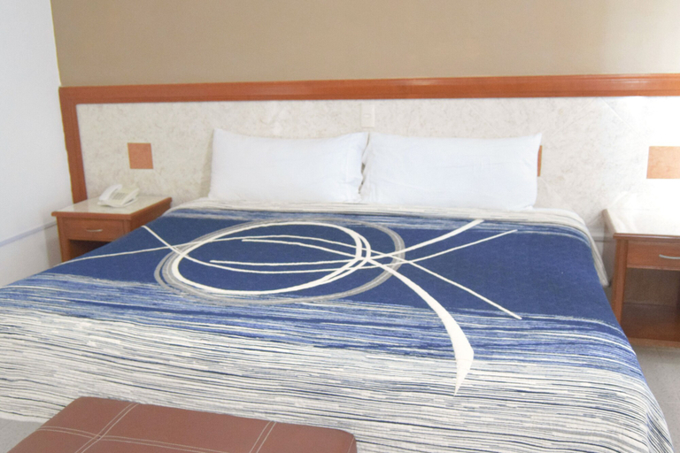 Others 3, Hotel Niza Palace, León
