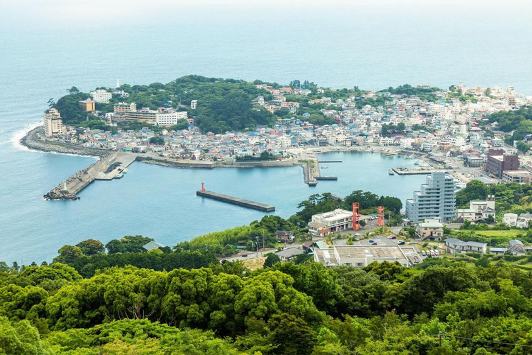 Others 3, S-villa IZU Le-Nessa Akazawa -天然温泉&サウナ-, Itō