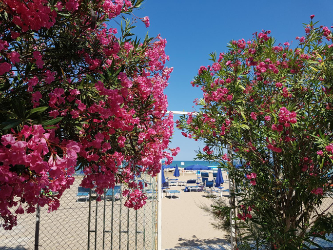 Exterior & Views 2, Hotel Gabbiano Beach, Foggia