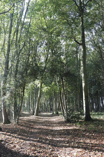 Others 5, Le Domaine Saint Ange, Somme