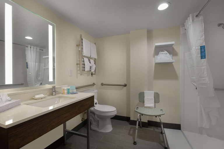 Bathroom 4, Hampton Inn Greenville/Travelers Rest , Greenville