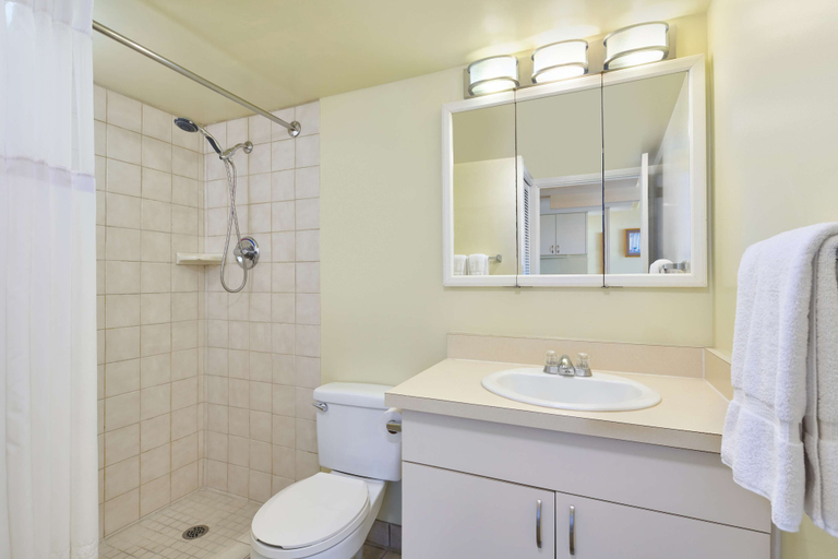 Bathroom 5, Ilikai Lite, Honolulu