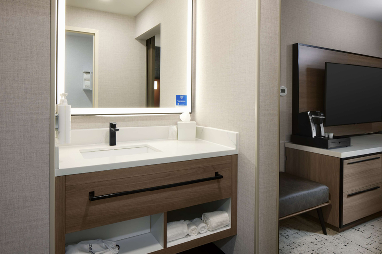 Bathroom 5, Hampton Inn Newark Airport, Newark