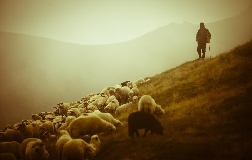 Others 5, Chatka U Hazy - Regionalne Pokoje Zakopane, Tatra