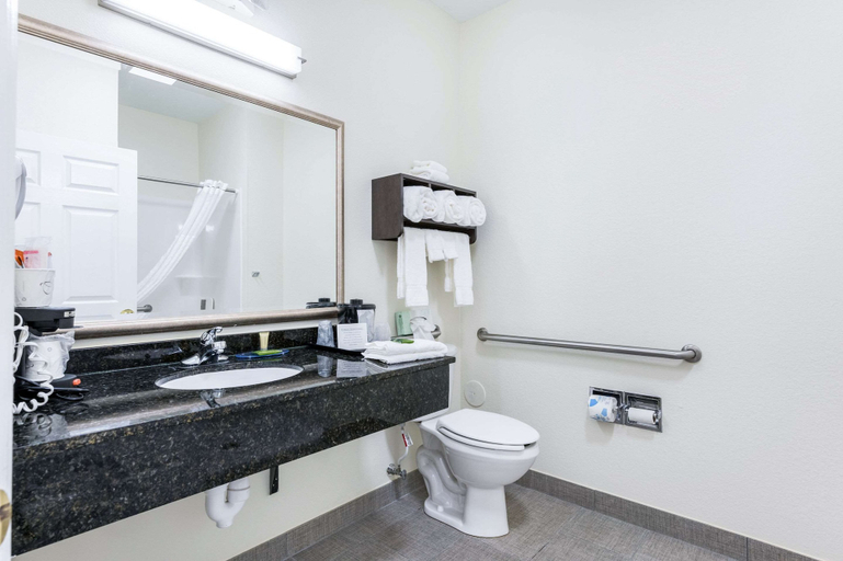 Bathroom 4, Clarion Pointe Madison Huntsville, Madison