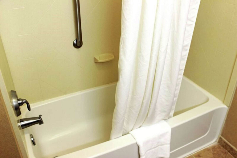 Bathroom 3, Hampton Inn Gallipolis, Gallia
