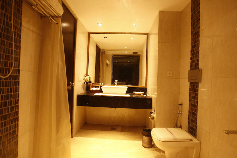 Bathroom 3, PLUTOS HOTEL, Delhi