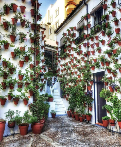 Others 3, Vivienda Turistica en Alcazar Viejo San Basilio, Córdoba