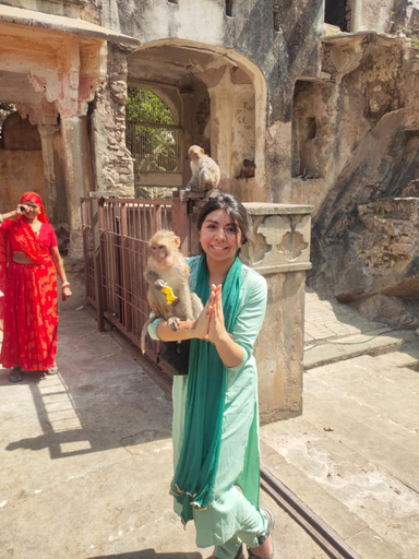 Others 5, Pink City Backpackers, Jaipur