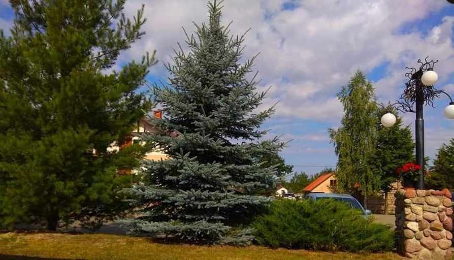 Others 5, Tawerna-Stawiska, Kozienice
