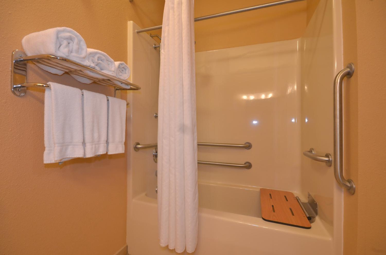 Bathroom 3, Holiday Inn Express Pine Bluff - Pines Mall Hotel By IHG, Jefferson