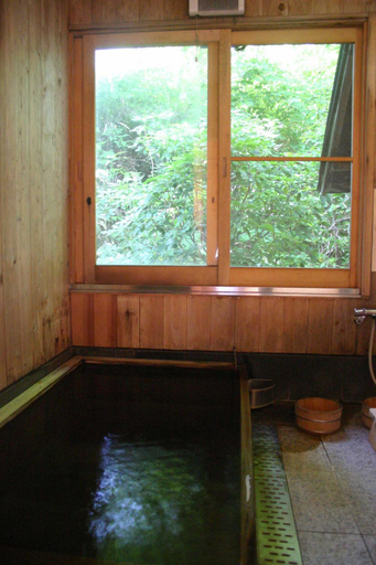 Bathroom 4, Nakaodaira, Takayama