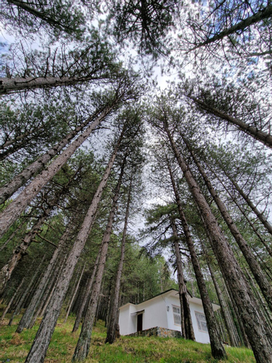 Scenery 17