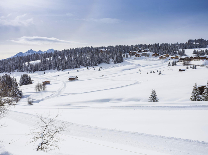Others 3, Apartment in ski Village les Saisies, Savoie