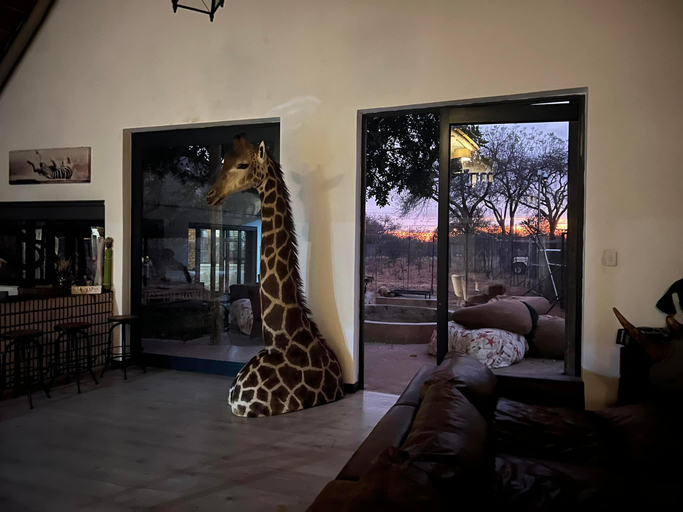 Public Area 4, Simba Safaris African Pride Exotic Lodge, Waterberg