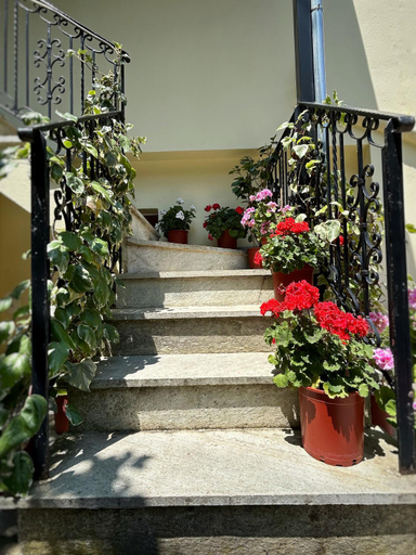 Exterior & Views 1, Λευκη Καμελια, Thessaly
