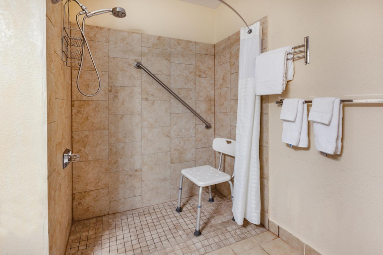Bathroom 2, Baymont by Wyndham Perrysburg/Toledo, Wood