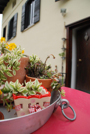 Food & Drinks 5, B&B Ca'rina, Trento