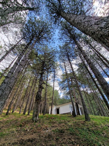Scenery 15