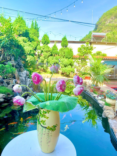 Scenery 6