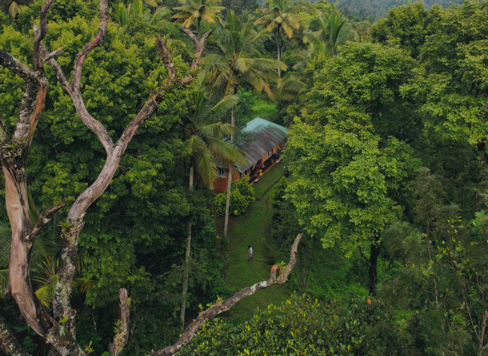 Scenery