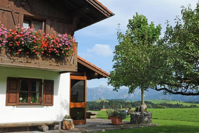 Others 4, Gastehaus Nigg, Ostallgäu