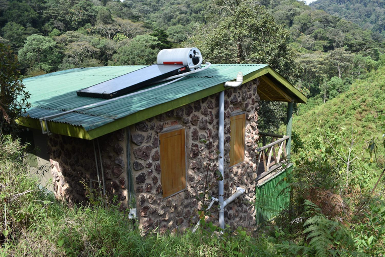 Exterior & Views, Gorilla Hills Eco Lodge, Kisoro