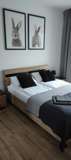 Others 5, Apartamenty 77, Częstochowa