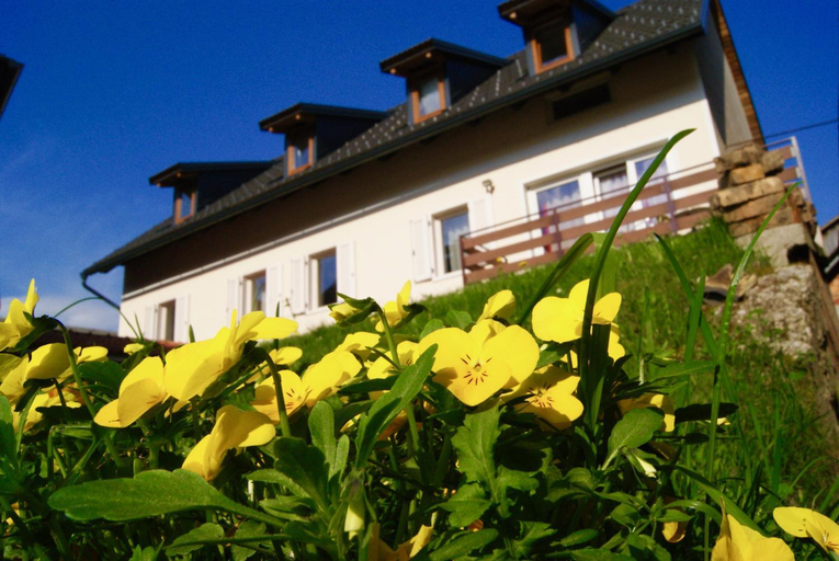 Others 4, Apartmaji Pri Kokolu, Bled